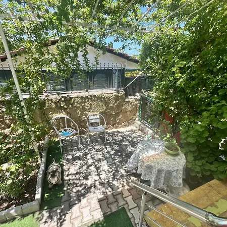 Apartament Merkez Daire